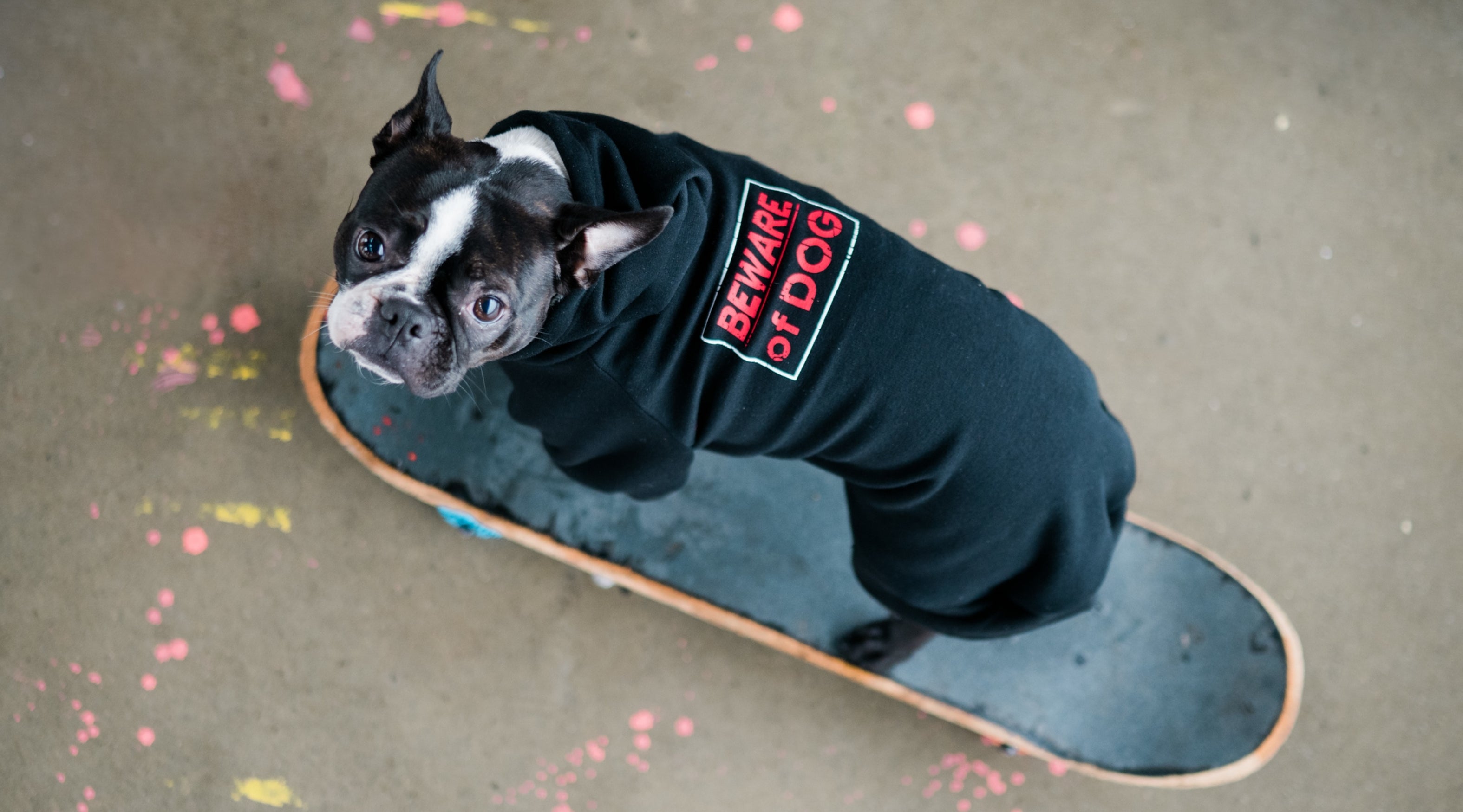 DOG & HUMAN MATCHING SETS