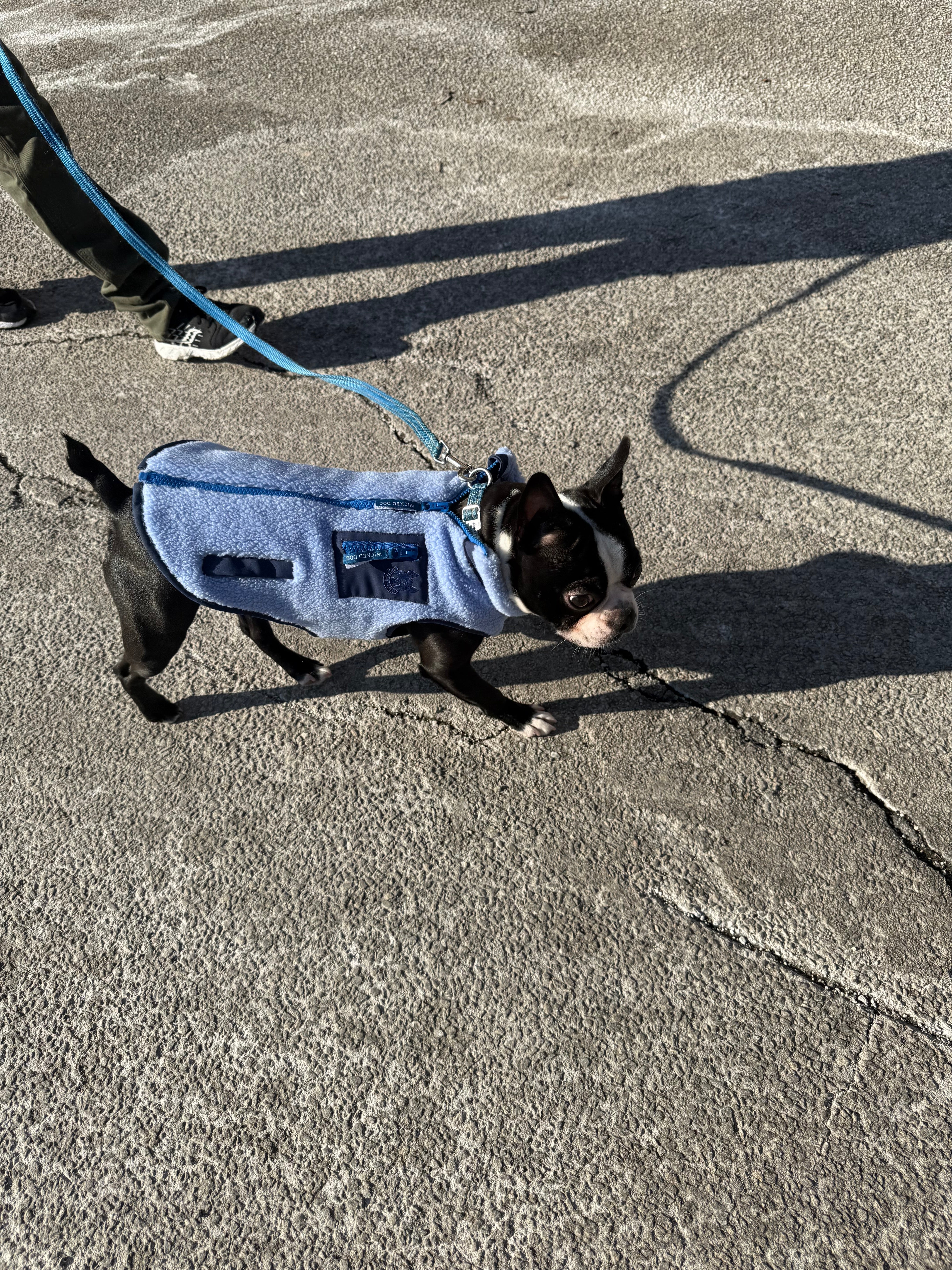 Monochrome Sherpa Dog Vest