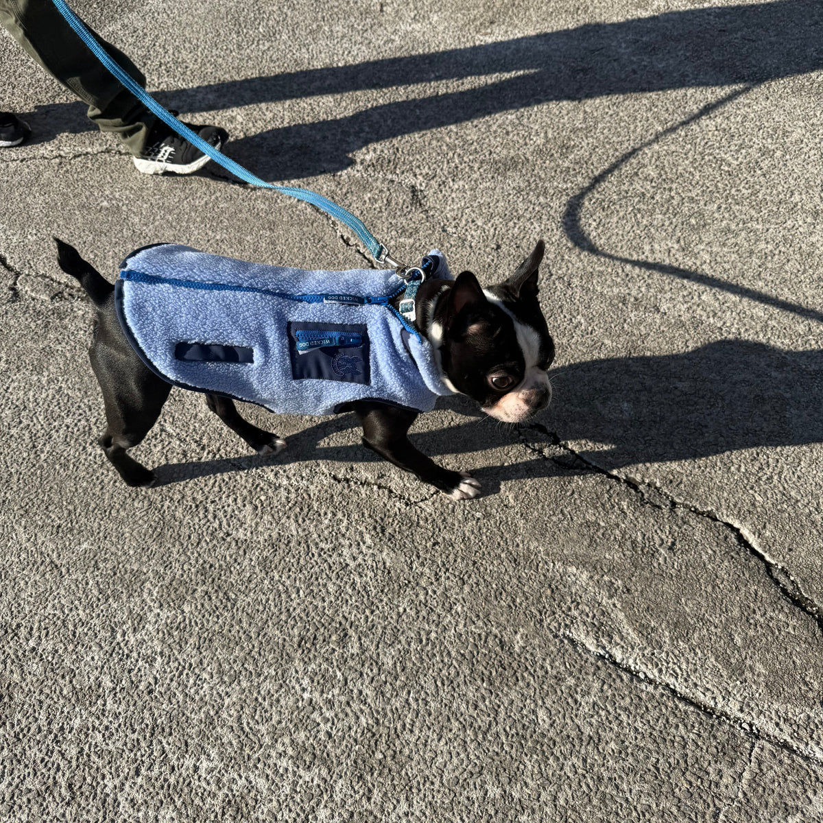 Monochrome Sherpa Dog Vest