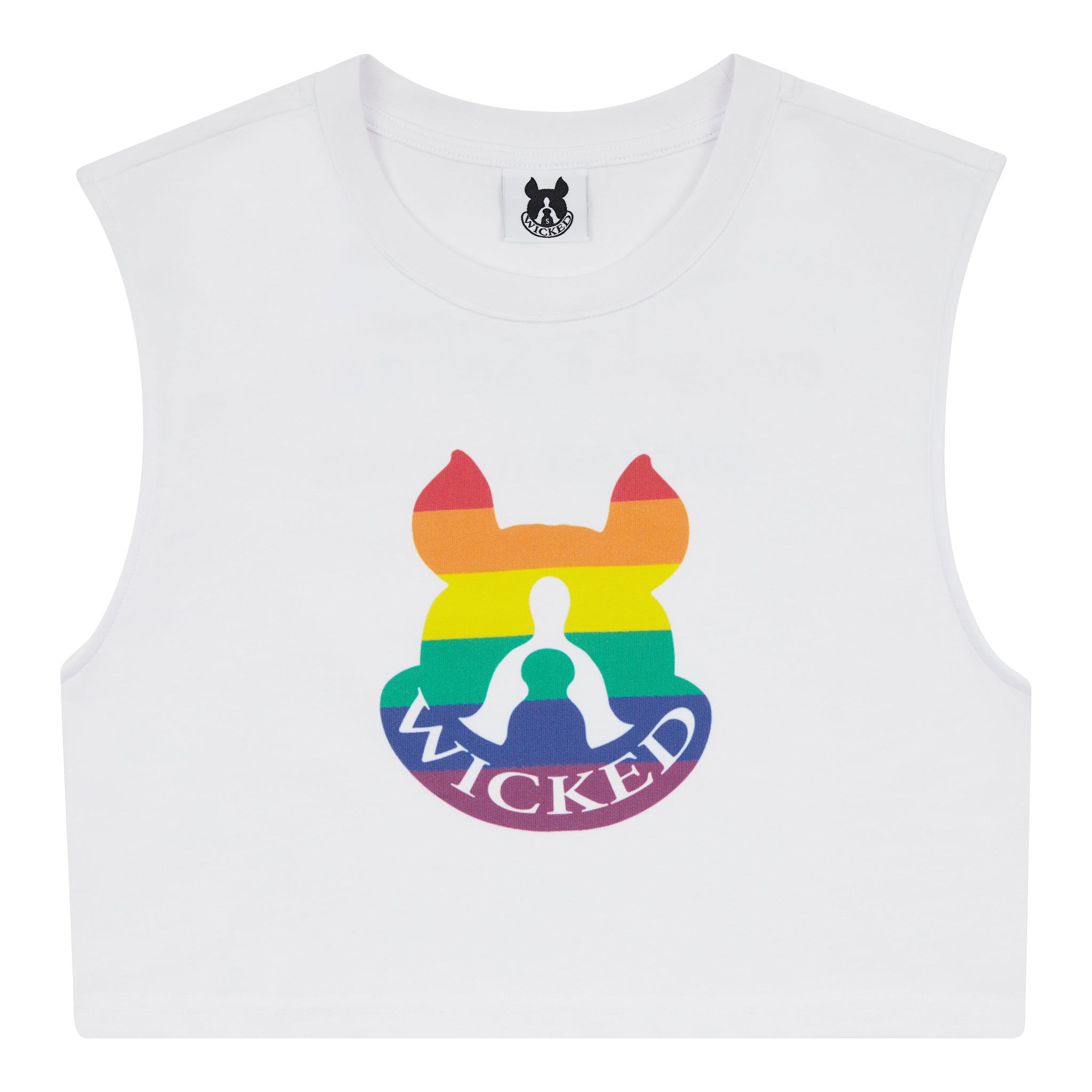 Rainbow Crop Top