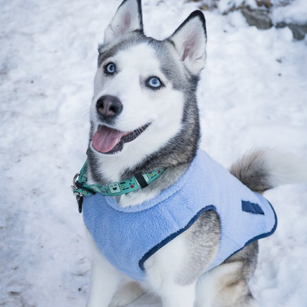 Monochrome Sherpa Dog Vest