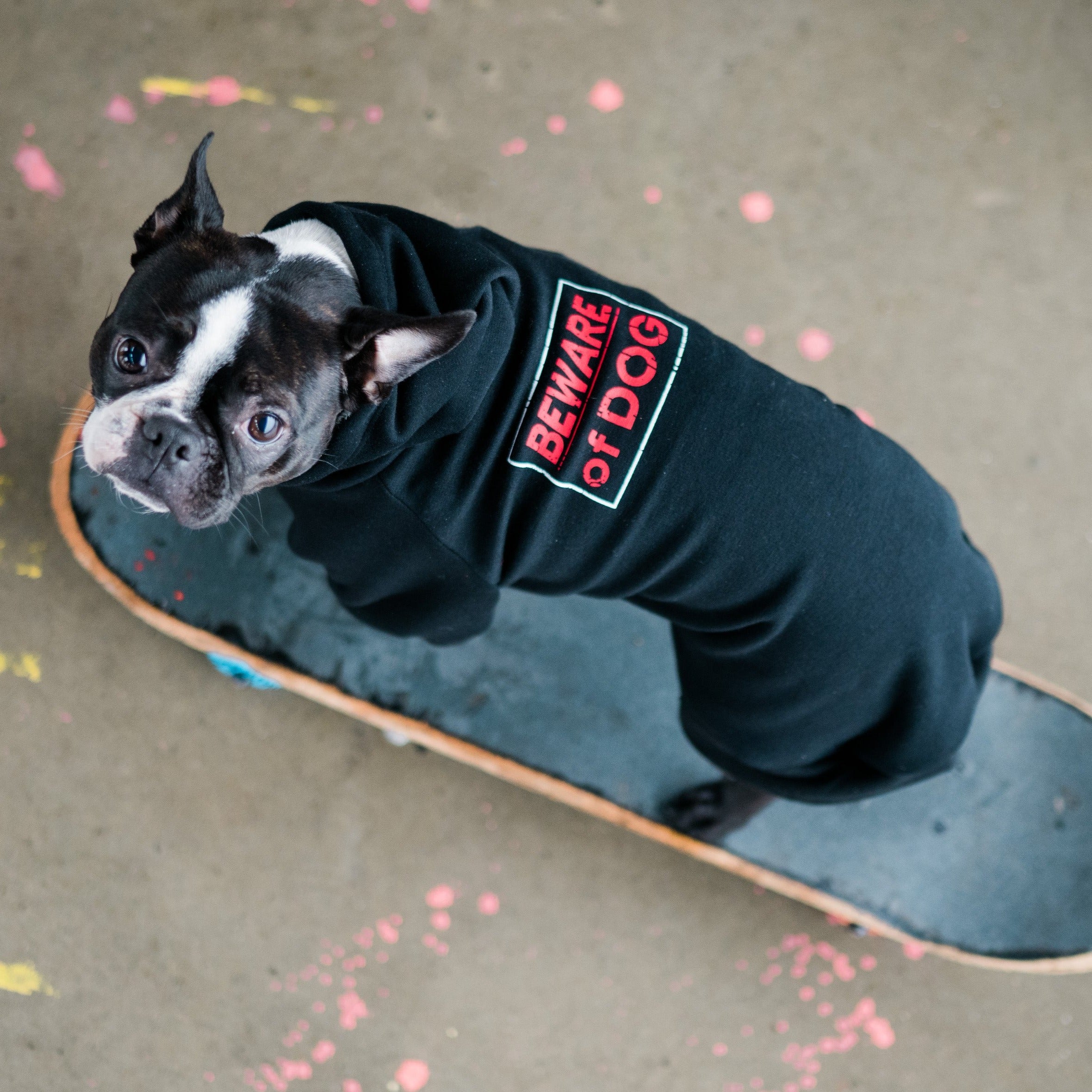 Beware of Dog Hoodie