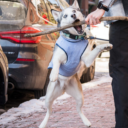 Monochrome Sherpa Dog Vest