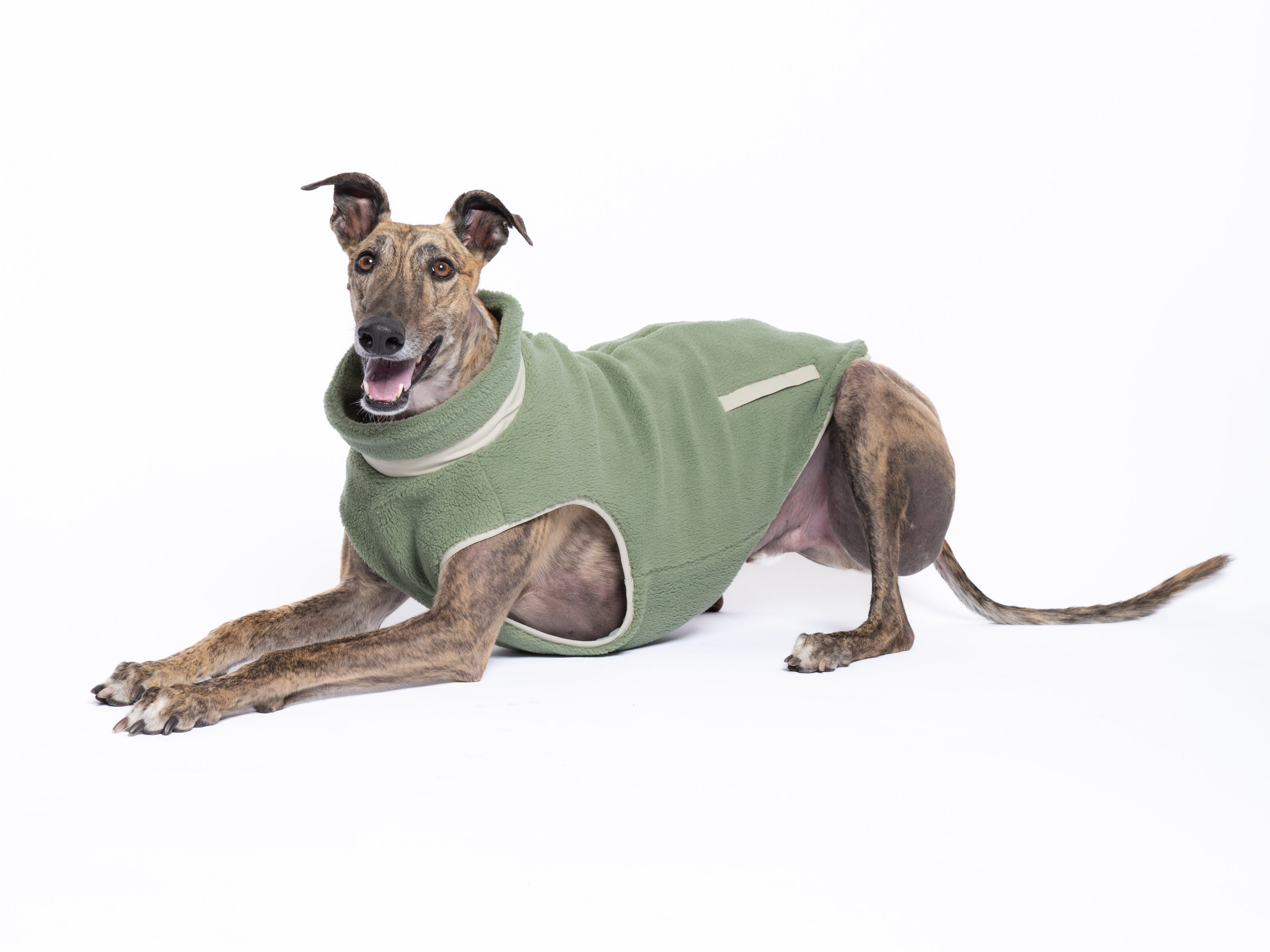 Monochrome Sherpa Dog Vest