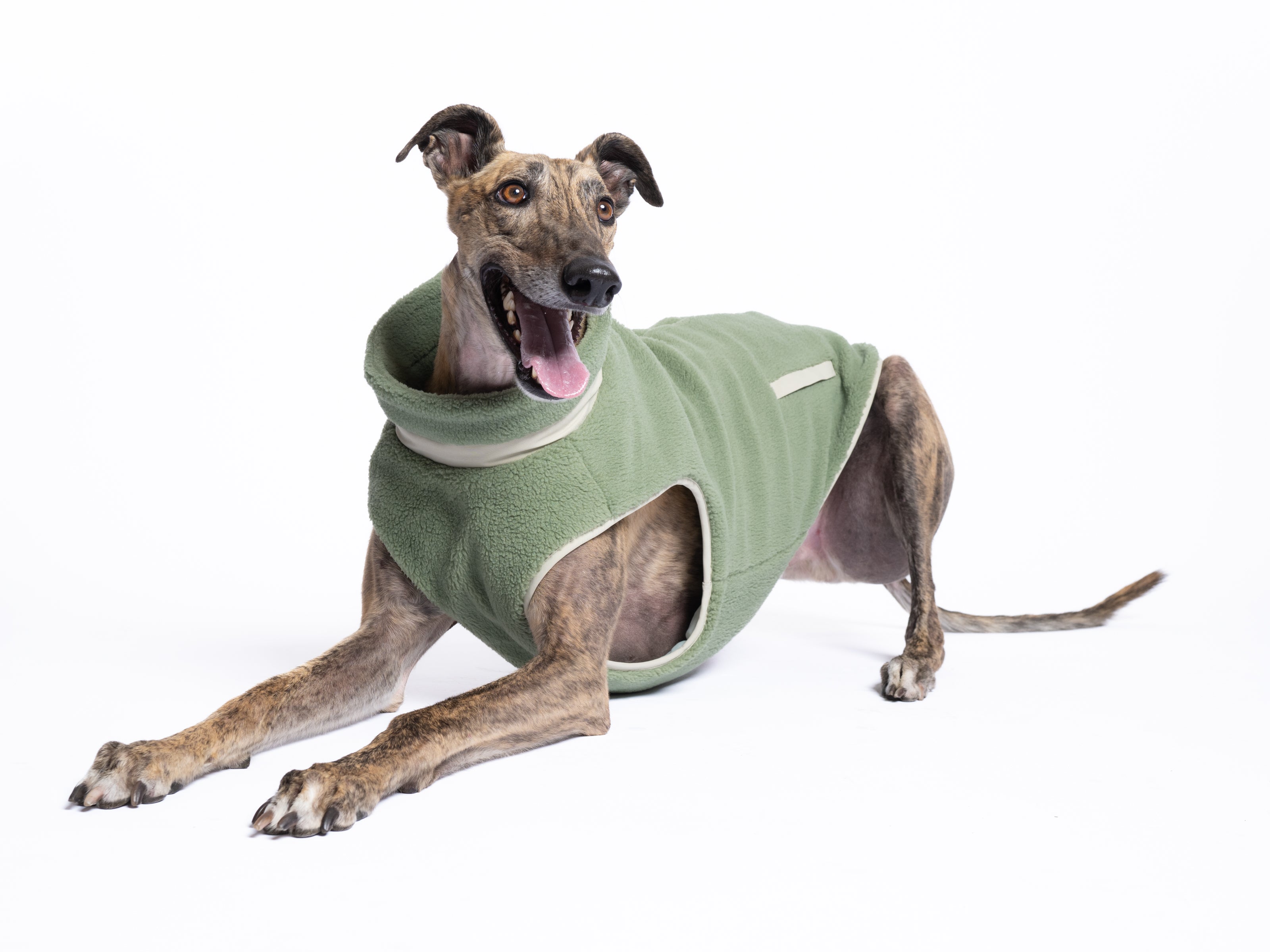 Monochrome Sherpa Dog Vest
