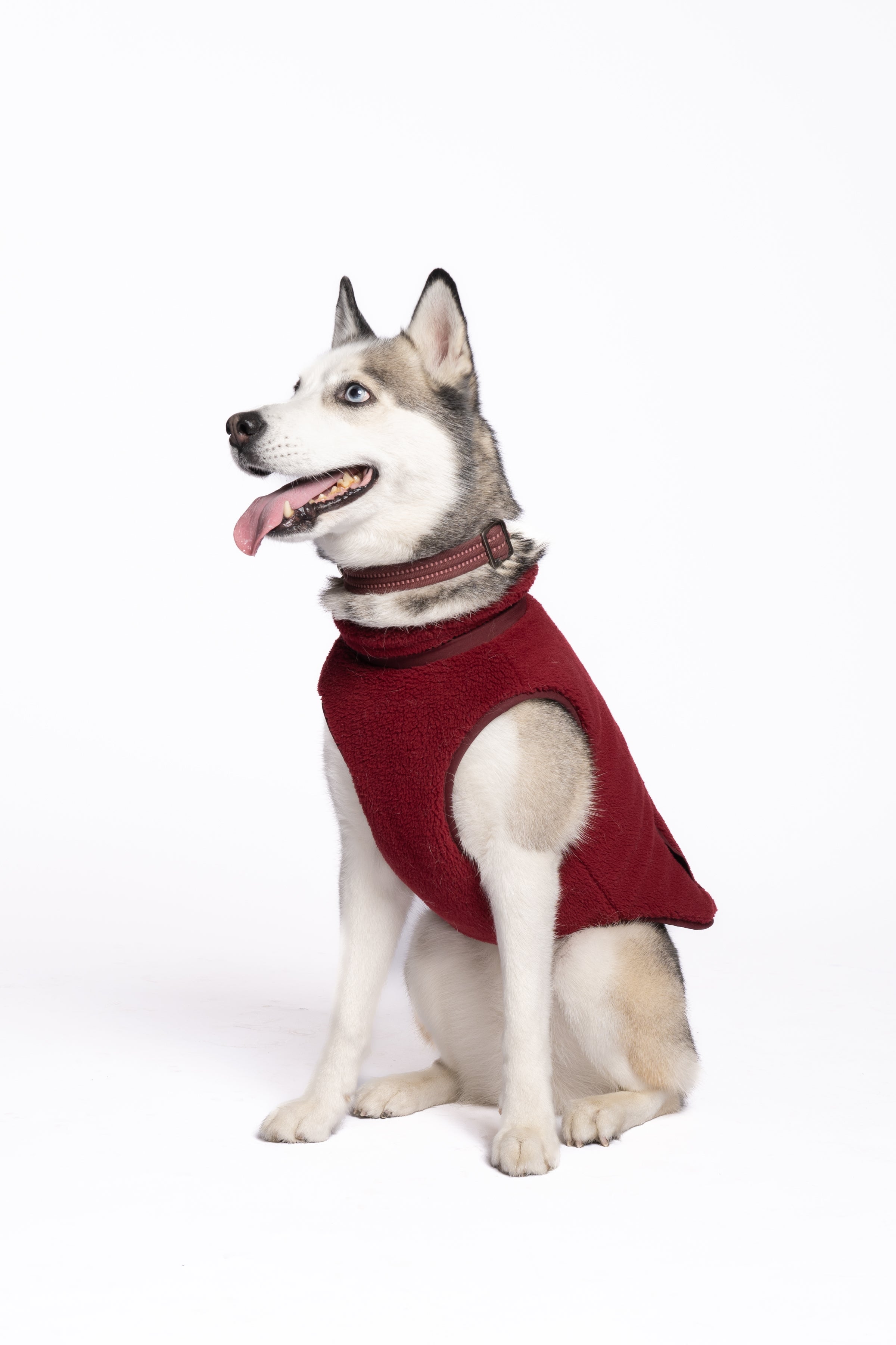 Monochrome Sherpa Dog Vest