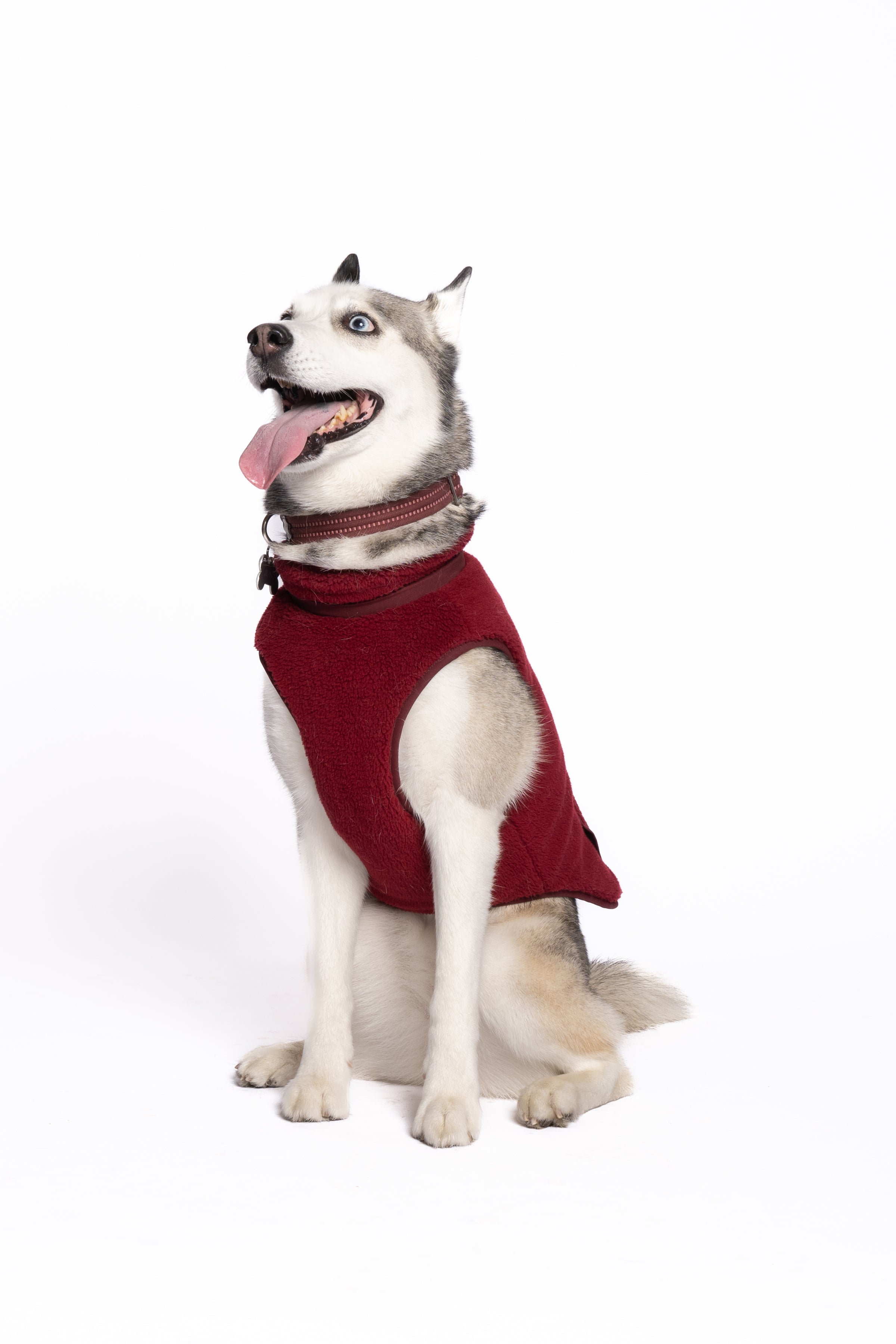 Monochrome Sherpa Dog Vest