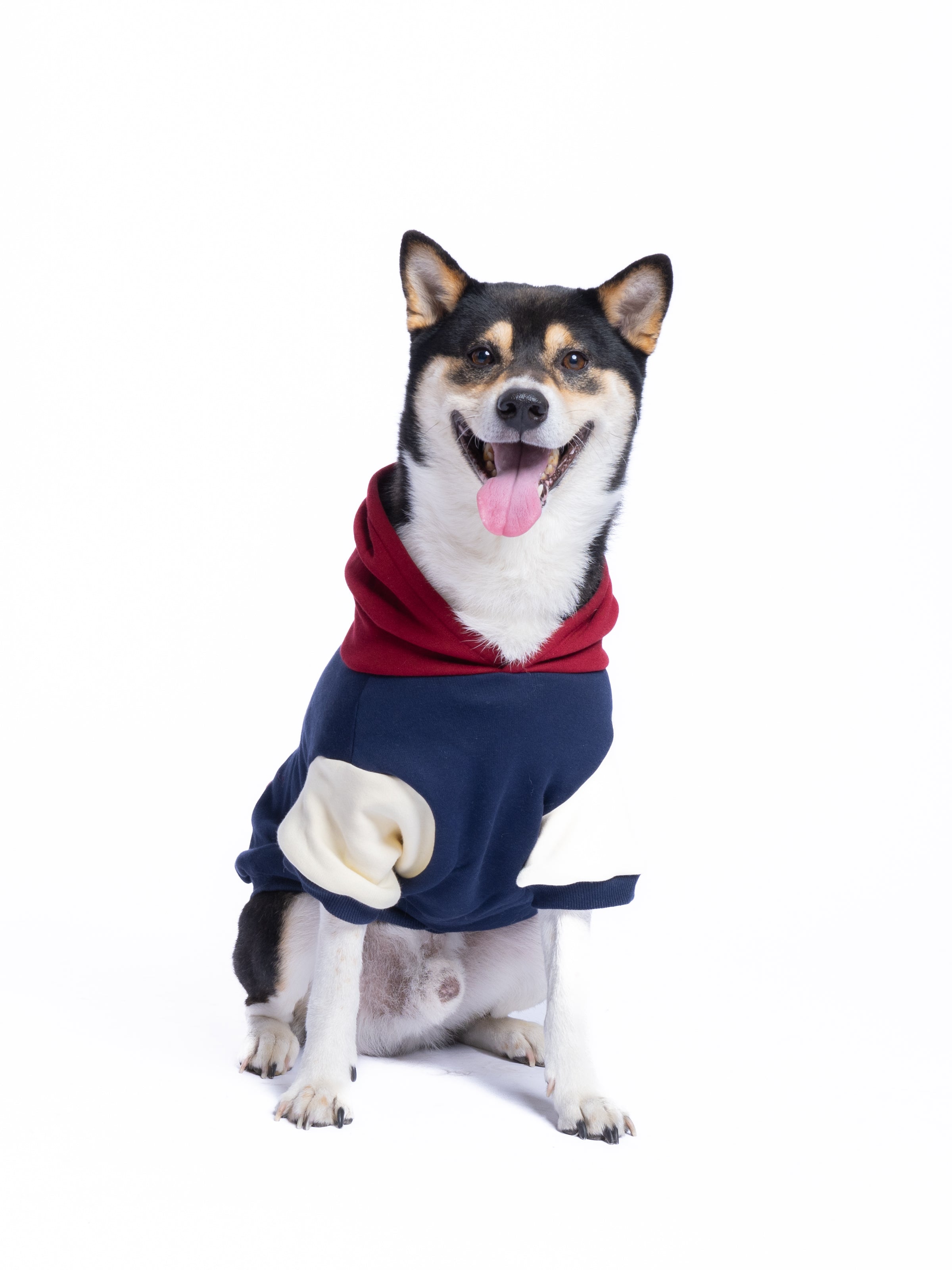 Retro Dog Hoodie