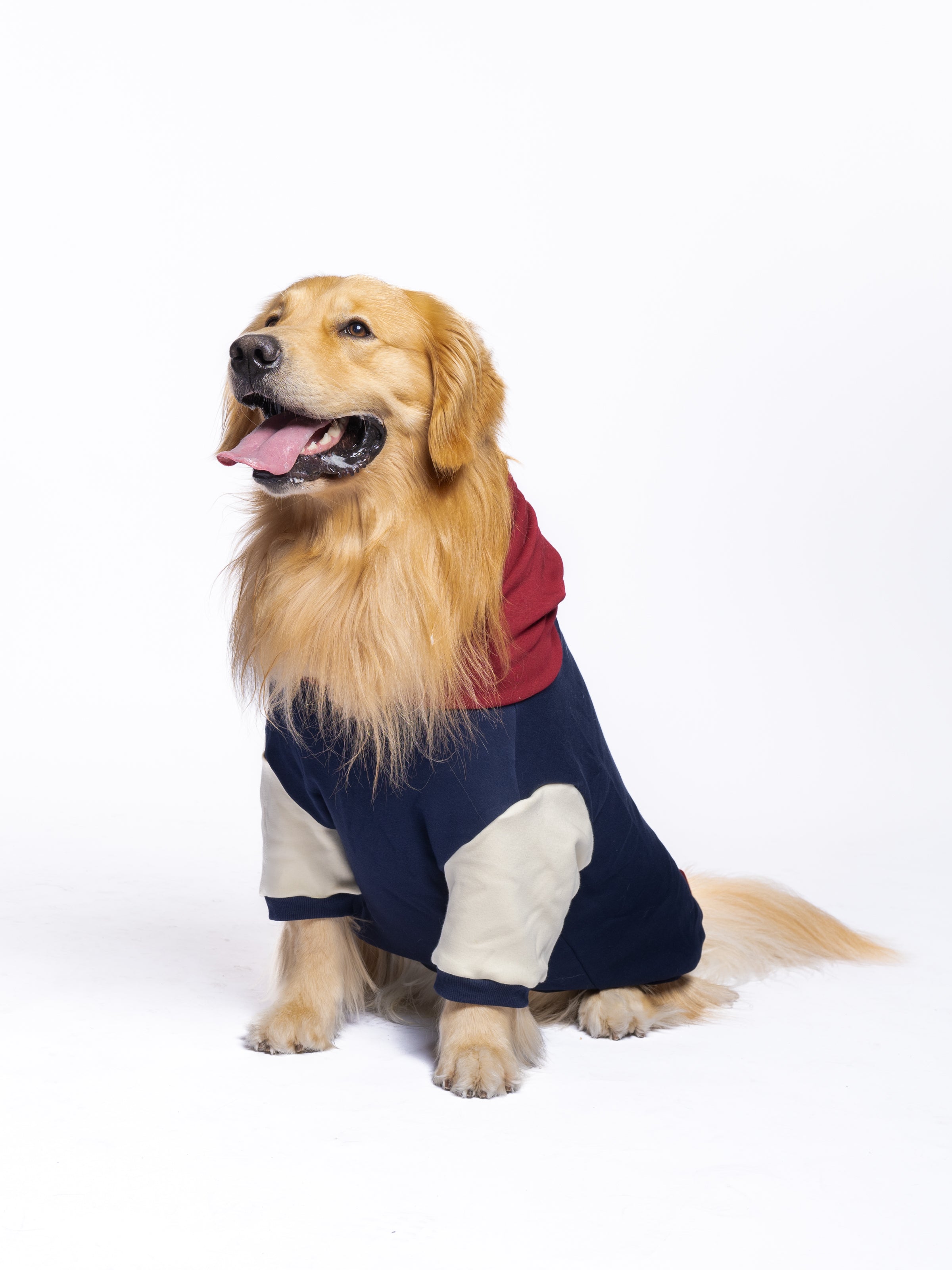 Retro Dog Hoodie