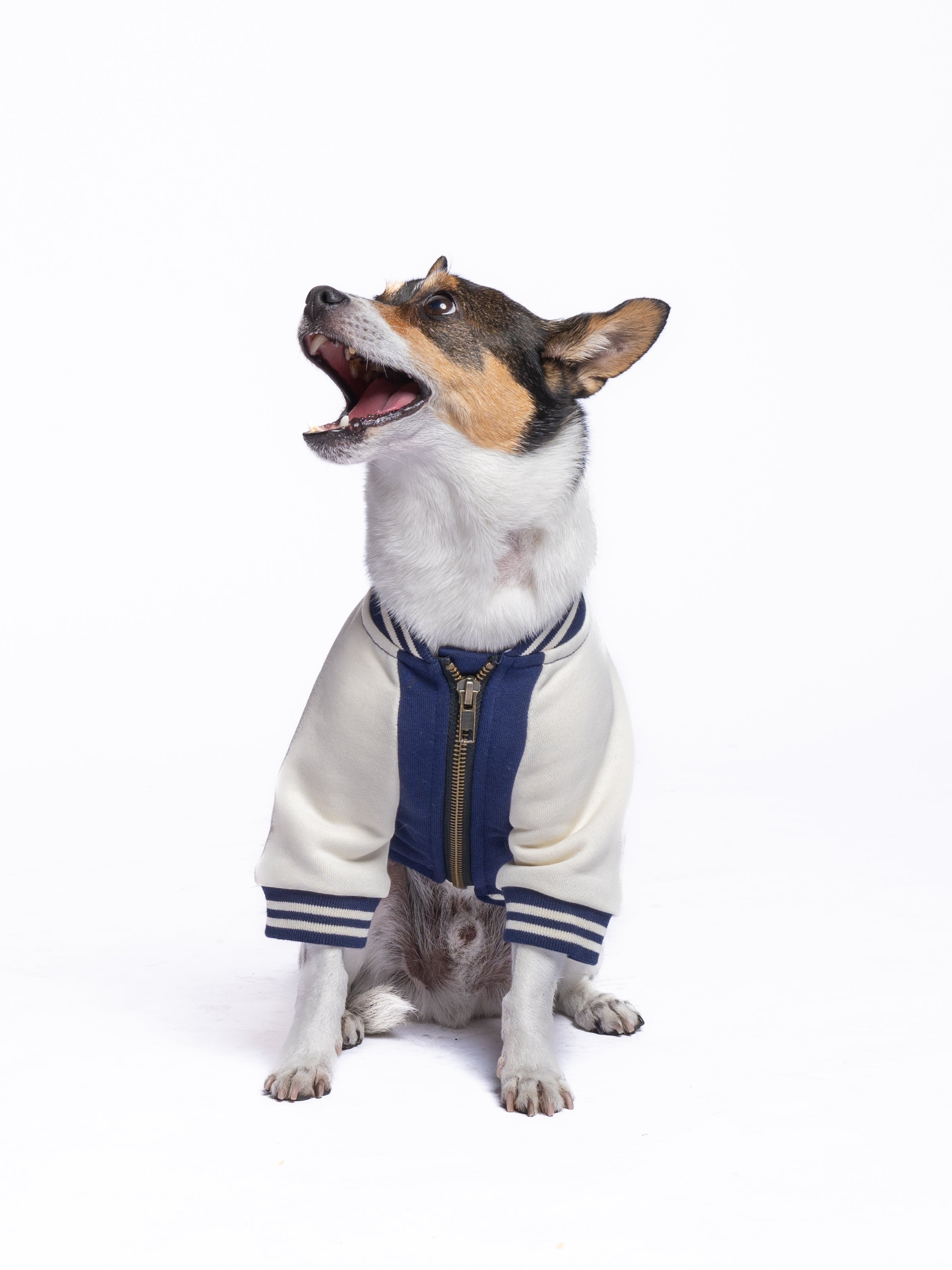 Full-Zip Sweatshirt — Blue Moon
