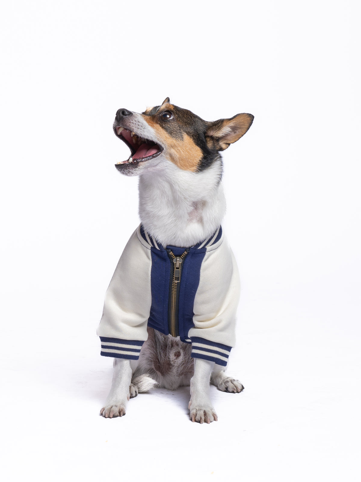 Dog Full-Zip Sweatshirt — Blue Moon
