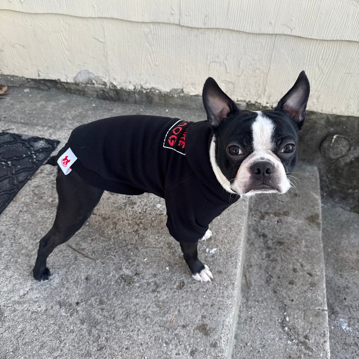 Beware of Dog Hoodie