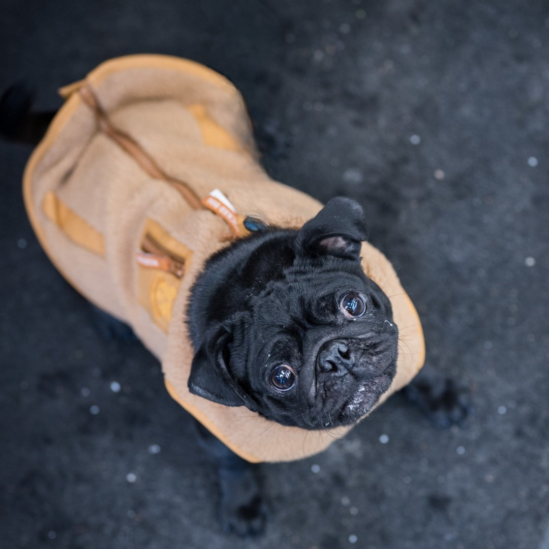 Monochrome Sherpa Dog Vest
