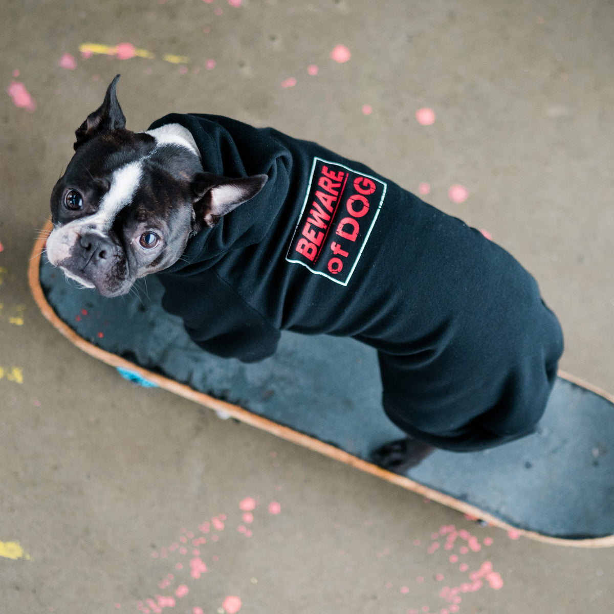 Beware of Dog Hoodie