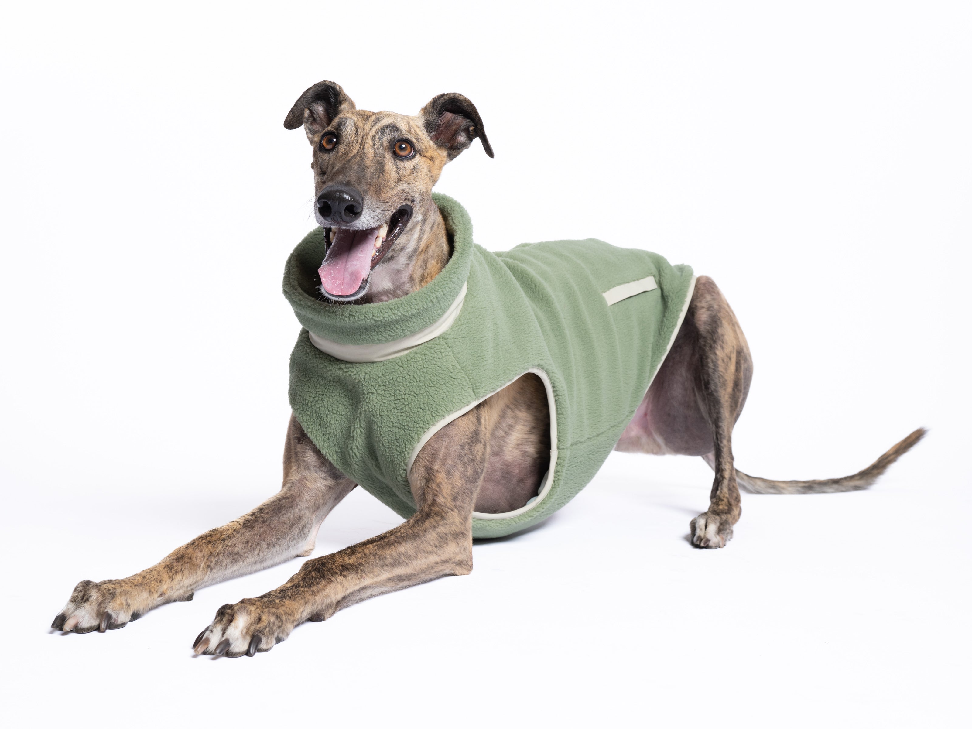 Monochrome Sherpa Dog Vest