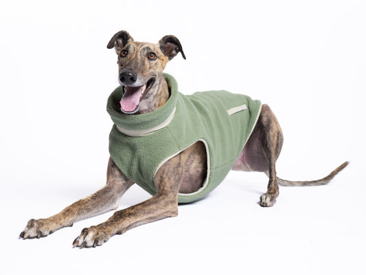 Monochrome Sherpa Dog Vest