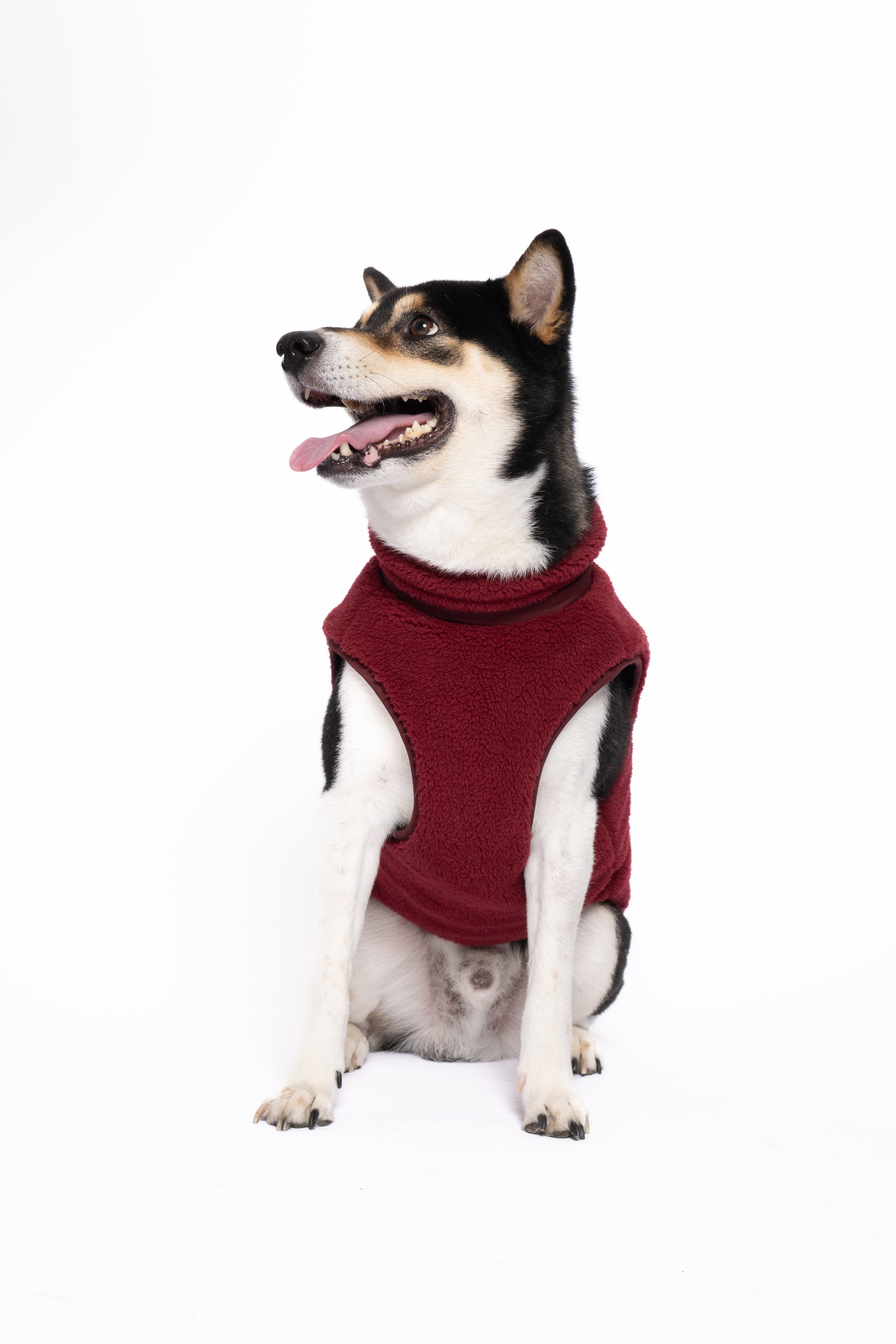 Monochrome Sherpa Dog Vest