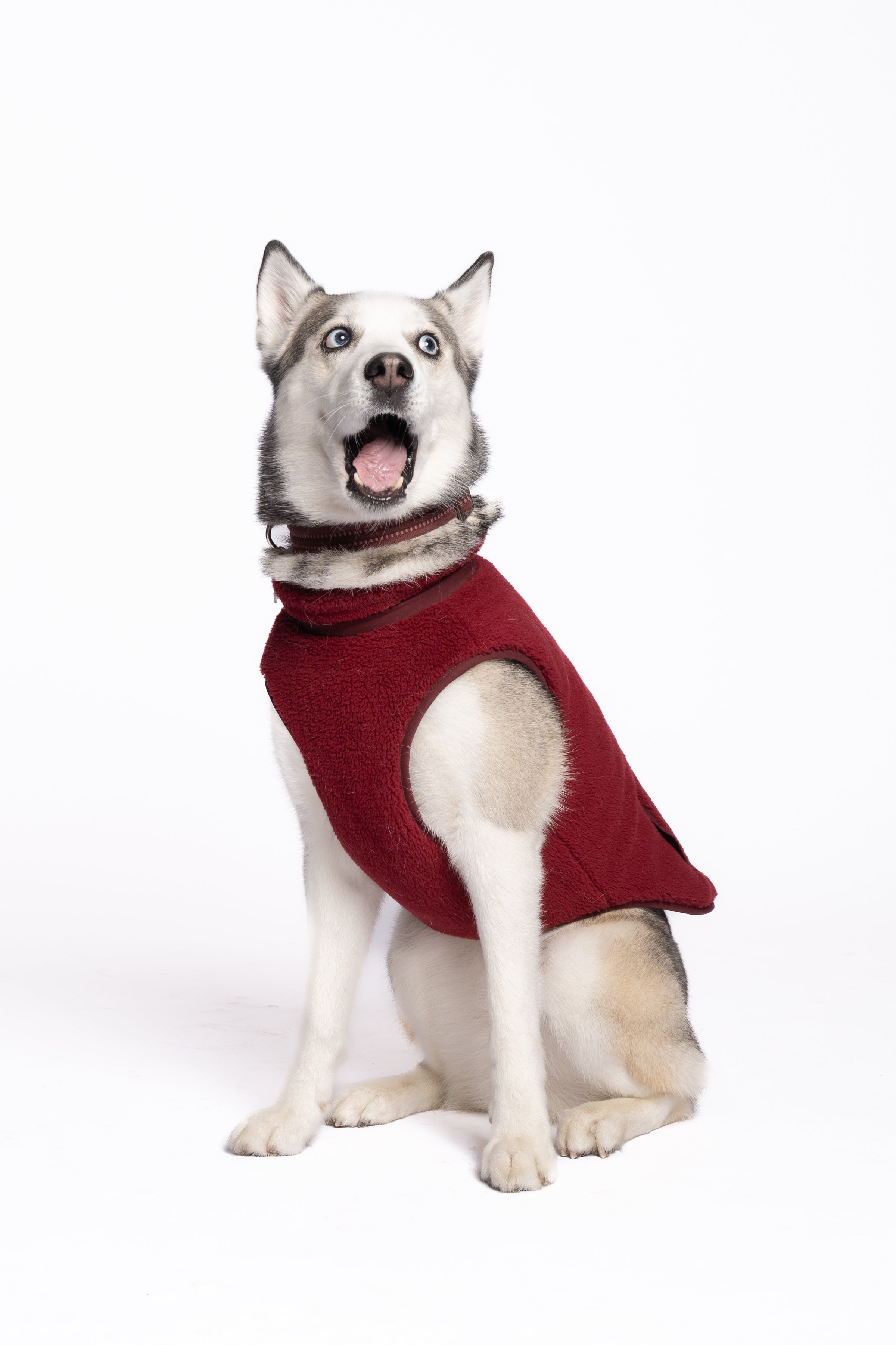 Monochrome Sherpa Dog Vest