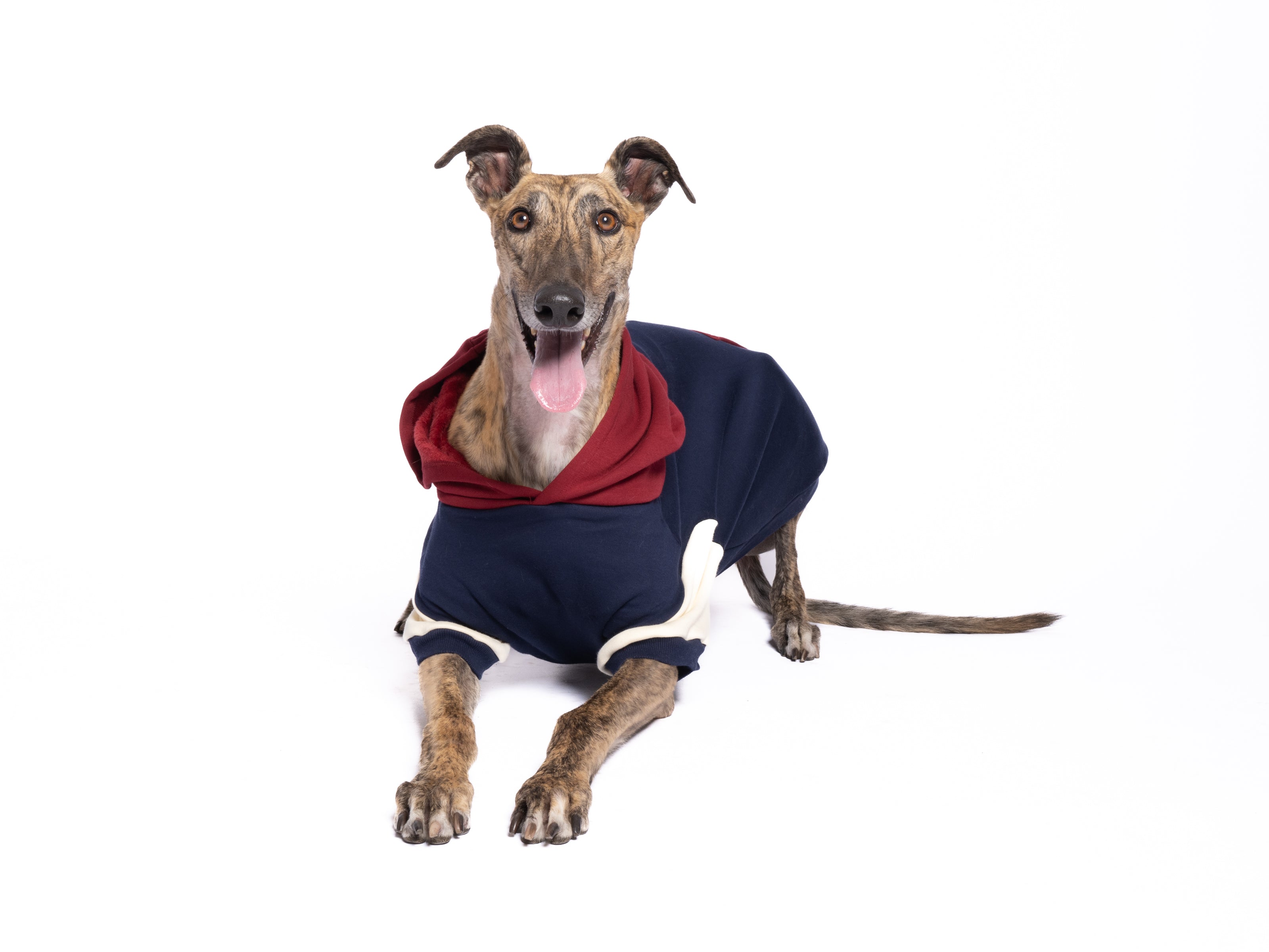 Retro Dog Hoodie