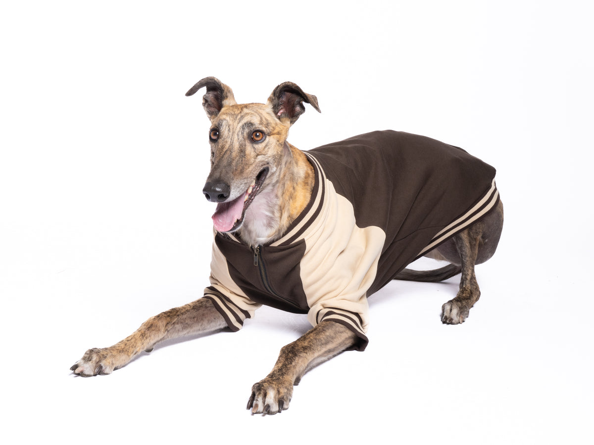 Dog Full-Zip Sweatshirt — Espresso