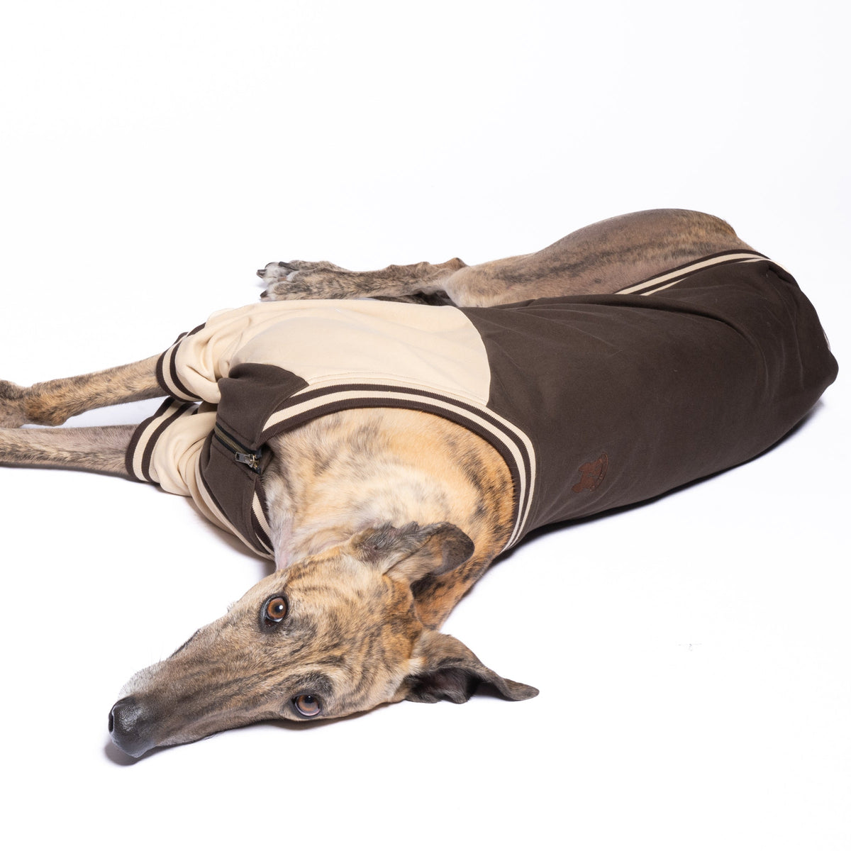 Dog Full-Zip Sweatshirt — Espresso