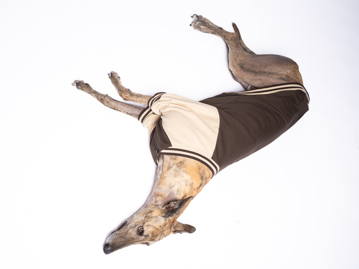 Full-Zip Sweatshirt — Espresso
