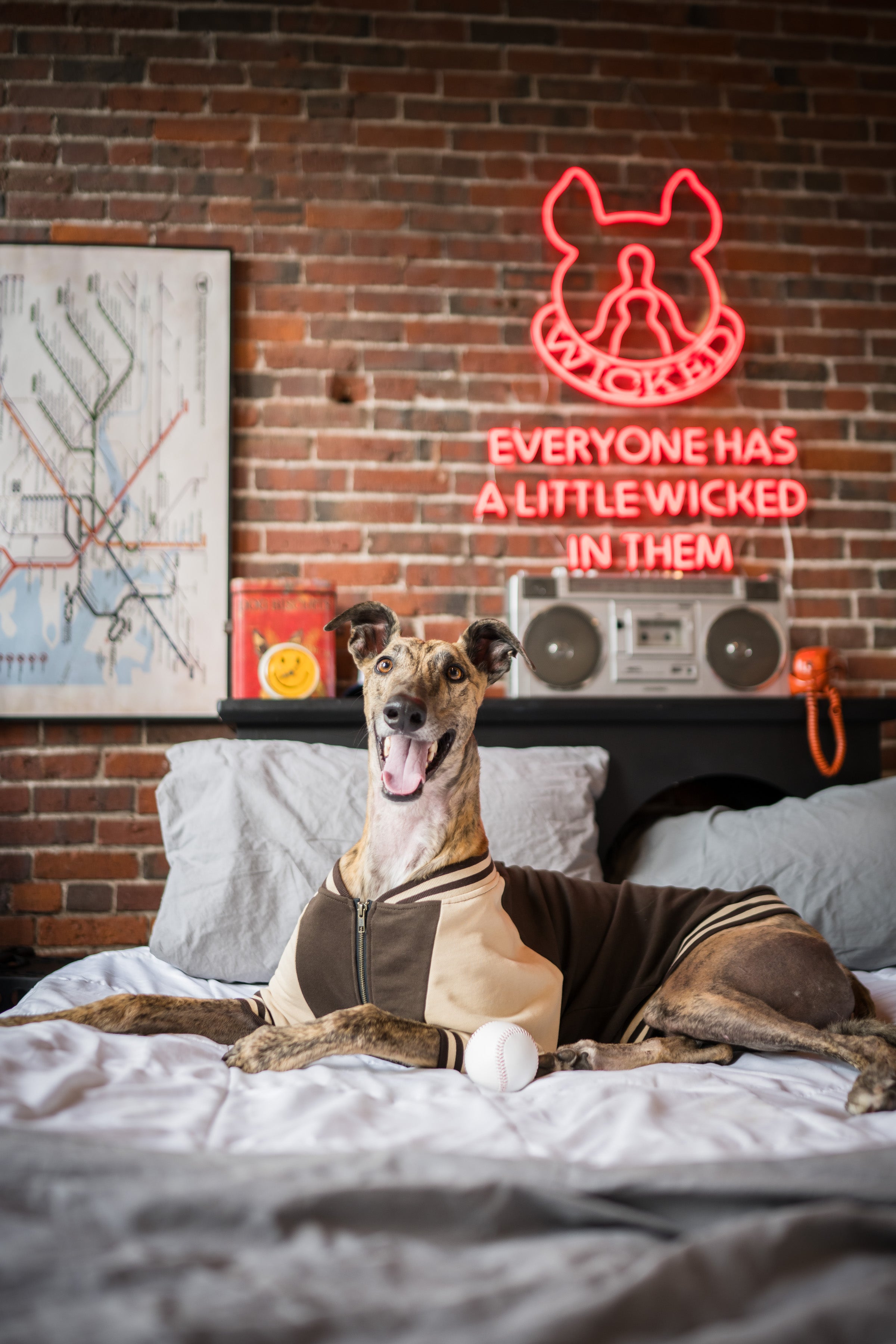 Dog Full-Zip Sweatshirt — Espresso