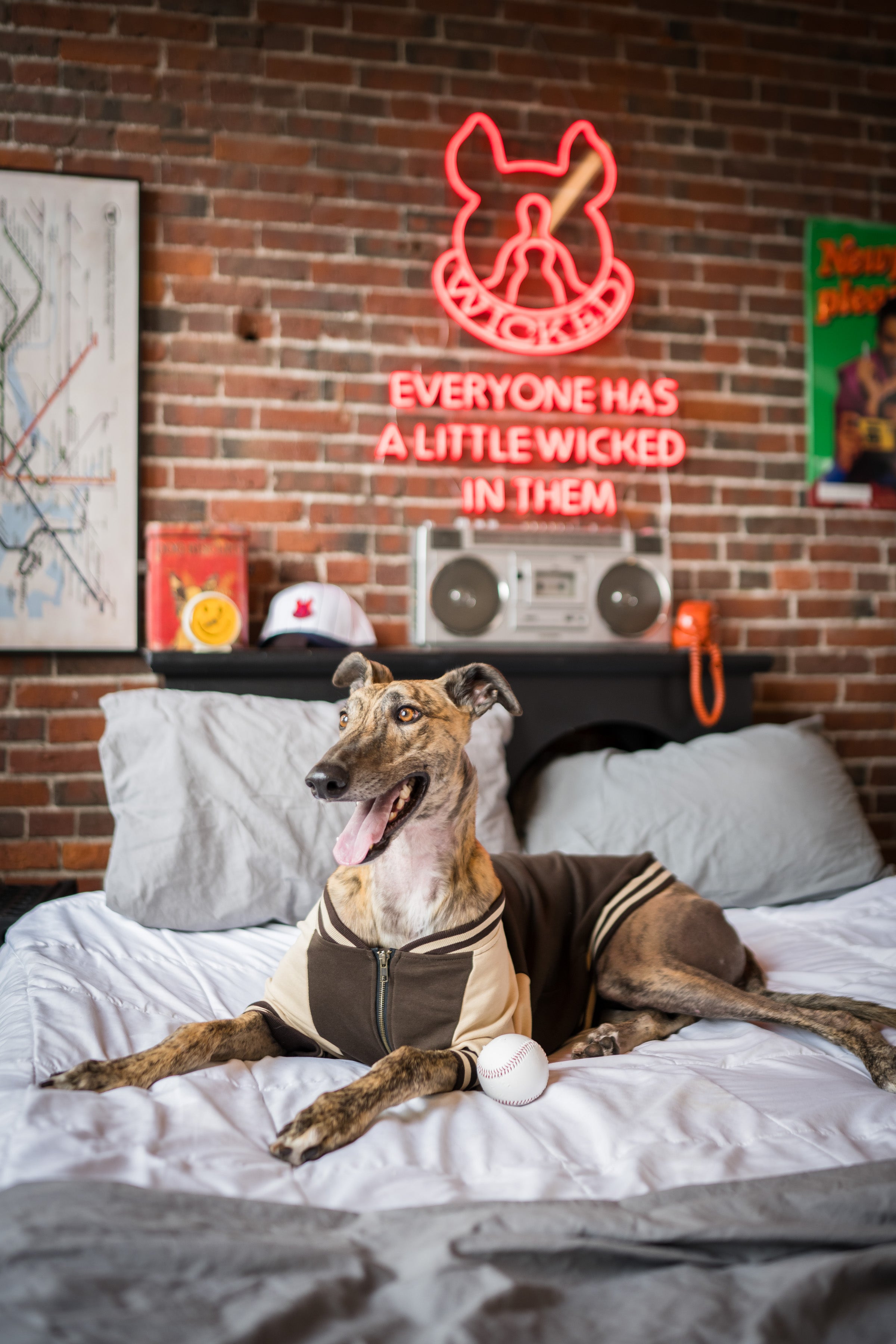 Dog Full-Zip Sweatshirt — Espresso