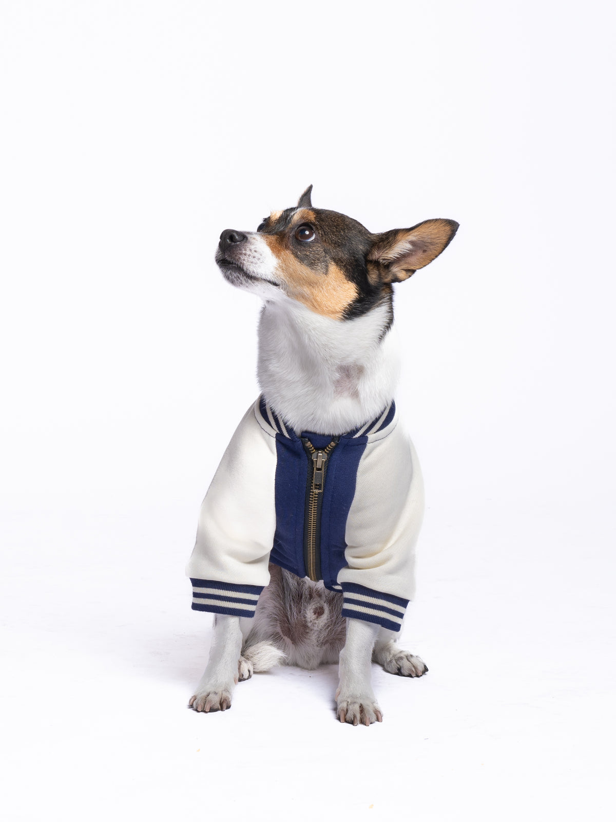 Full-Zip Sweatshirt — Blue Moon
