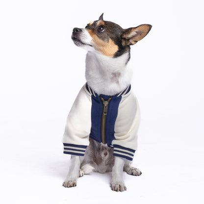 Full-Zip Sweatshirt — Blue Moon