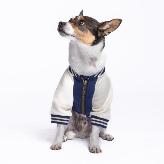 Dog Full-Zip Sweatshirt — Blue Moon