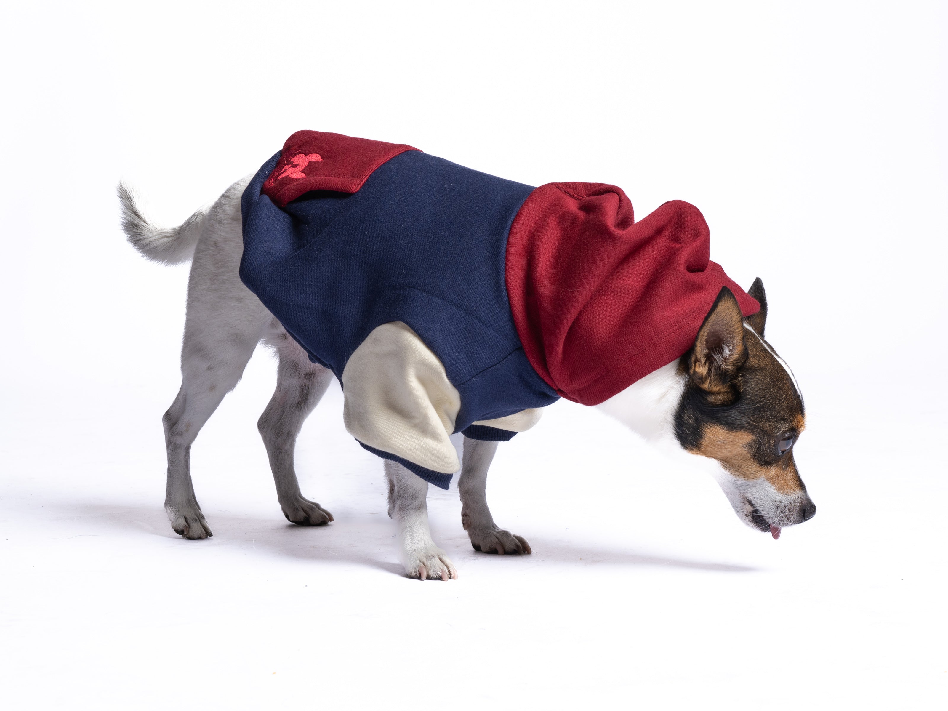 Retro Dog Hoodie