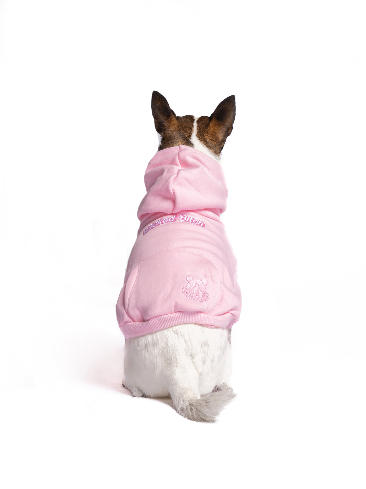 The Jack Russell is wearing size S