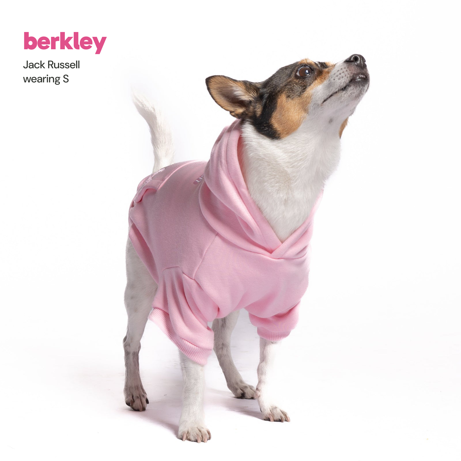 Wicked Bitch Dog Hoodie – Wicked Dog