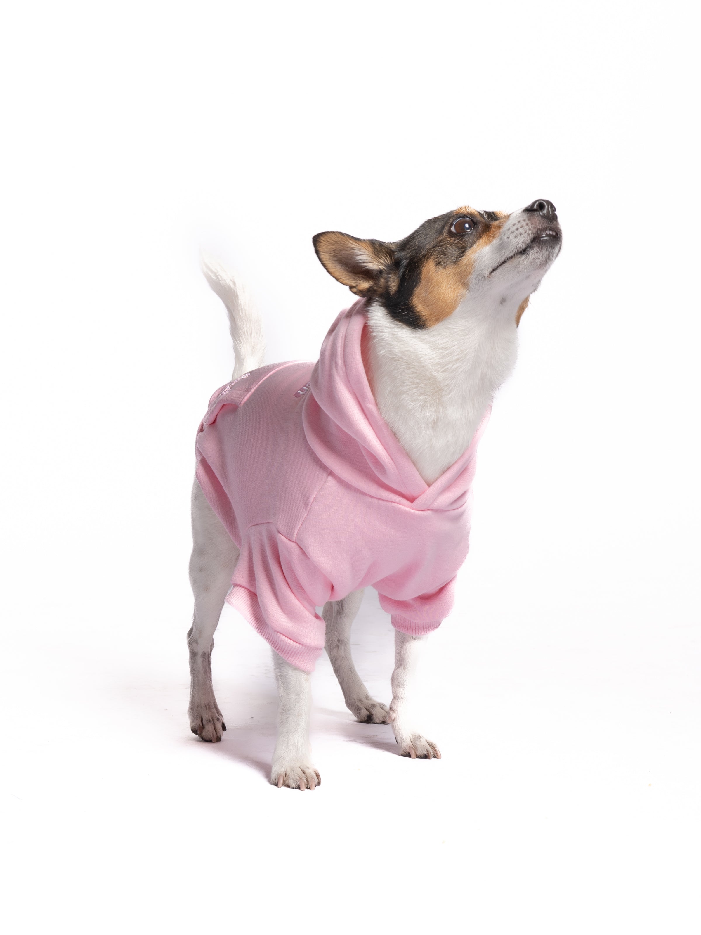 Wicked Bitch Dog Hoodie