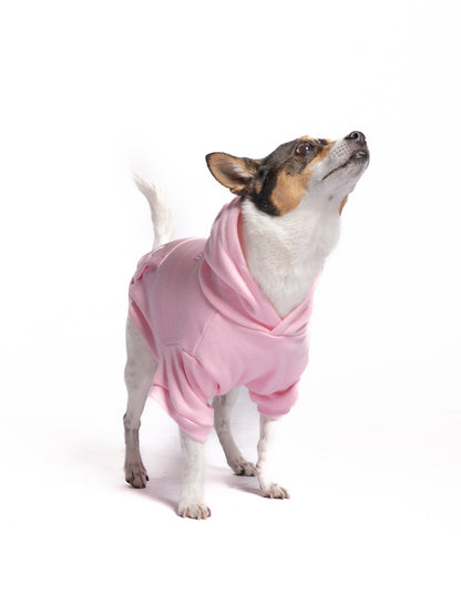 The Jack Russell is wearing size S